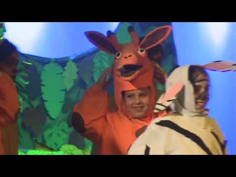 Escolíadas Júnior 2016 | Mealhada 3