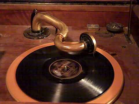 BEN SELVIN KNICKERBOCKERS - (WHO'S WONDERFUL WHO'S MARVELOUS) - ROARING 20'S VICTROLA 8-30