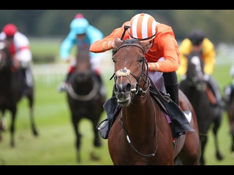 Köln: Preis des Winterfavoriten (Gruppe 3) - Sieger: Brisanto