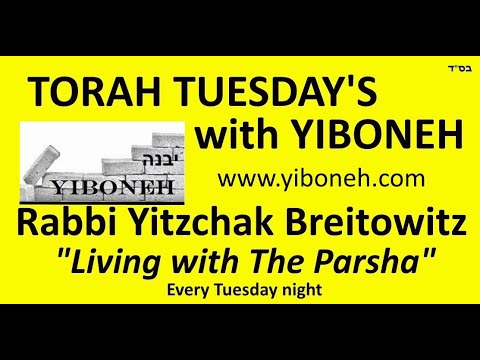Rabbi Yitzchak Breitowitz: Jewish Identity and Pride
