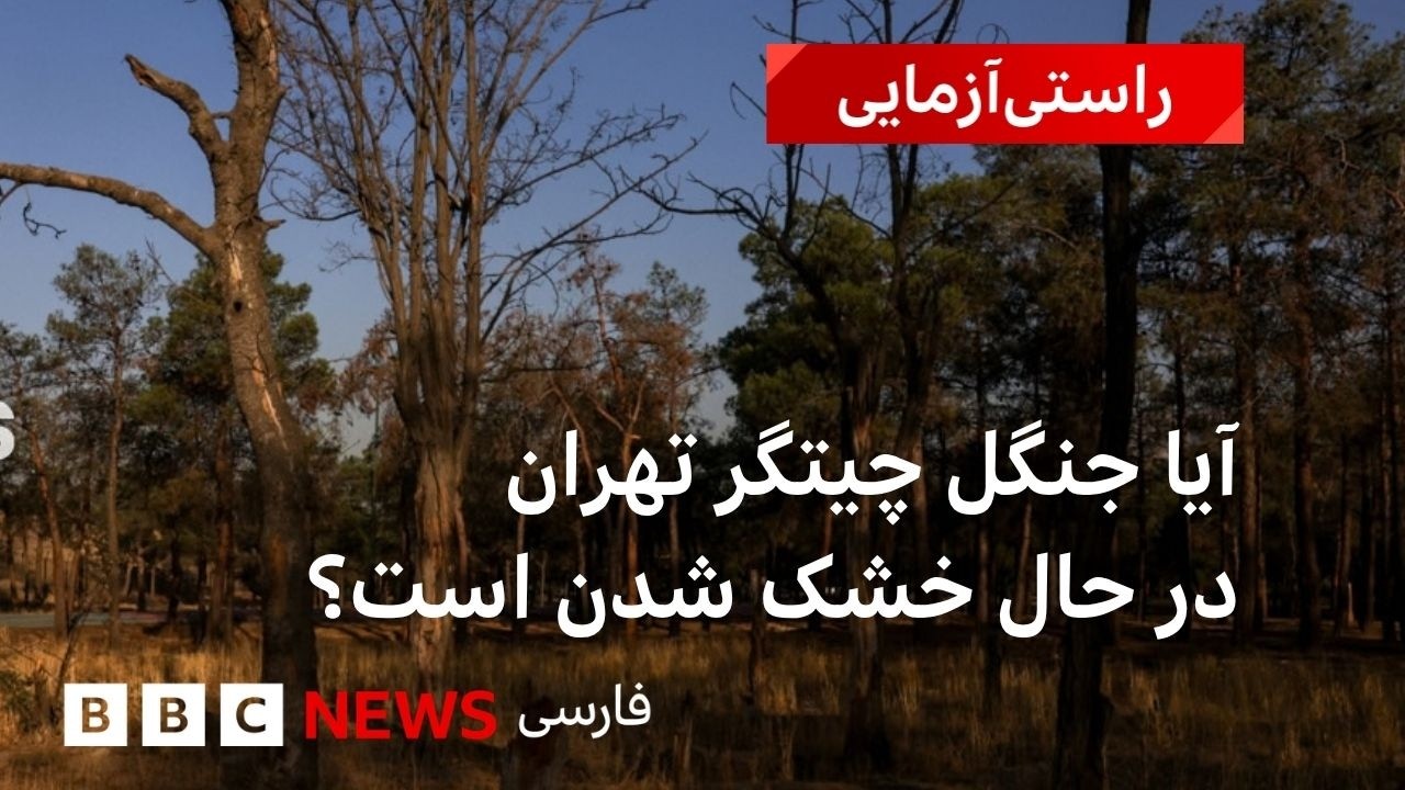 بررسی خشکیدگی درختان چیتگر با تصاویر ماهواره‌ای‌‌