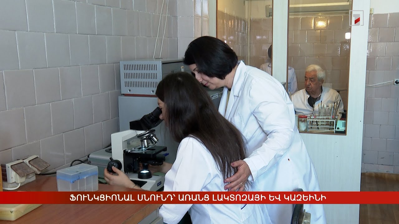 Ֆունկցիոնալ սնունդ՝ առանց լակտոզայի և կազեինի