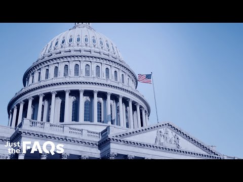 Here’s how midterm elections work and why they're so important | JUST THE FAQS