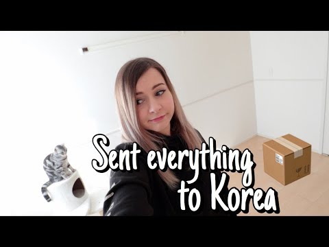 一ヶ月足らずで日本を離れる？ (Leaving Japan in Less Than a Month ?)