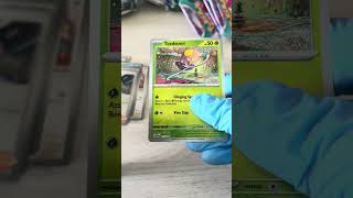 Settiä kasaa! #pokemon #pokemonkortti #pokemonsuomi #pokemoncards #pokemontcg #paradoxrift