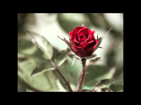 Ascension  - For A Life Time