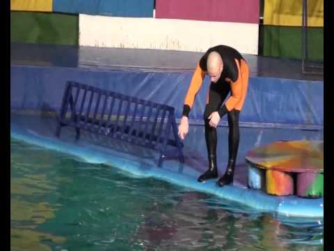 Li`Raw feat Dolphins