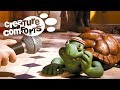 Feeding Time - Creature Comforts S1 (Full Episode)