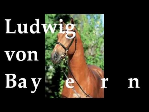 ludwig von bayern