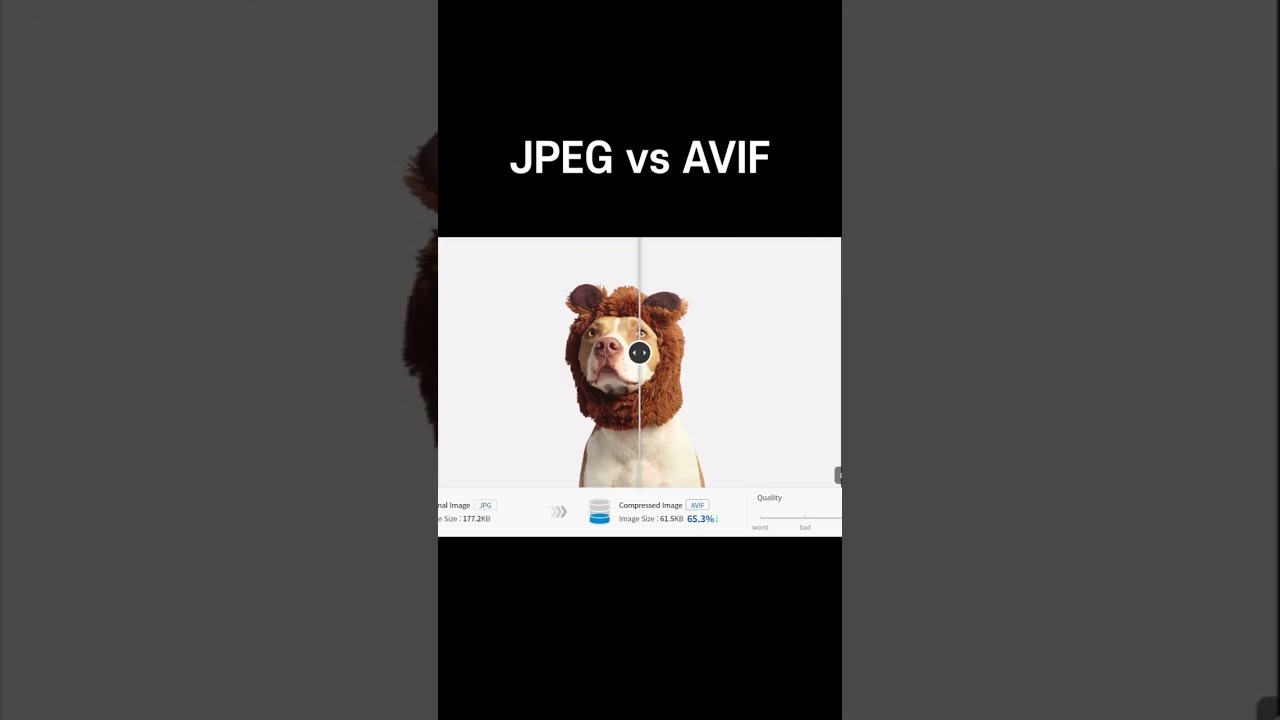 JPEG vs AVIF #shorts
