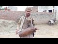 Nasiban Vich Hajj Kar De Hajj Special Kalam Heart Touching Naat Sharif Best Dua Street Singer
