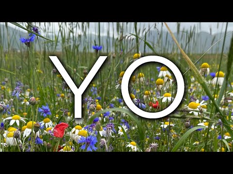 1567-IT Eva, YO - Ipnosi Esoterica ∞ Lucio Carsi