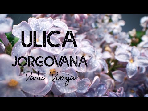Darko Domijan - Ulica jorgovana (Official lyric video)