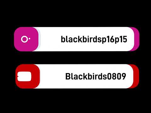 Maalikooste P16 1-div JoKi- Blackbirds 8.2.2024