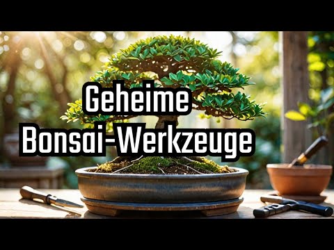 Welches geheime Bonsai Werkzeug für Anfänger Profis benutzen und nicht verraten