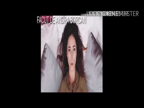 ANDRA BORCAN PARODIE (OFICIALL SONG)