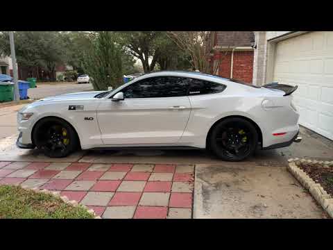 Thumbnail for 2015 Mustang GT FBO on E85 Cold Start