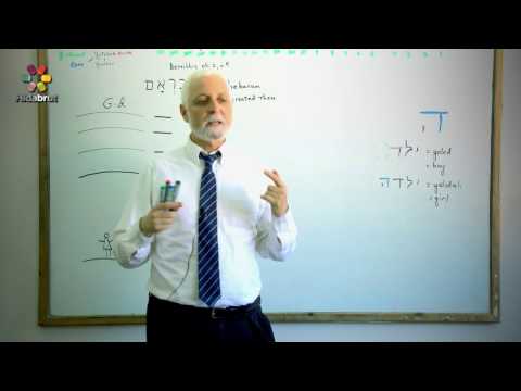 The Mystical Letter Hei - Part 3: Masculine vs. Feminine - Rabbi Yaakov Marcus