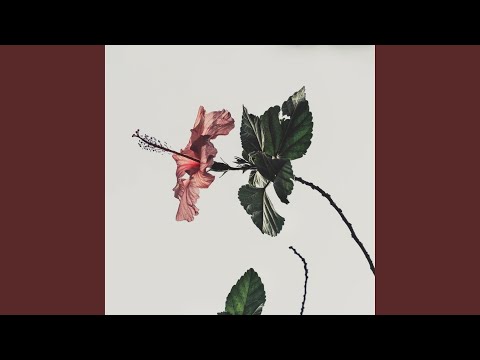 Isn't Easy To Let You Go - Siggerr