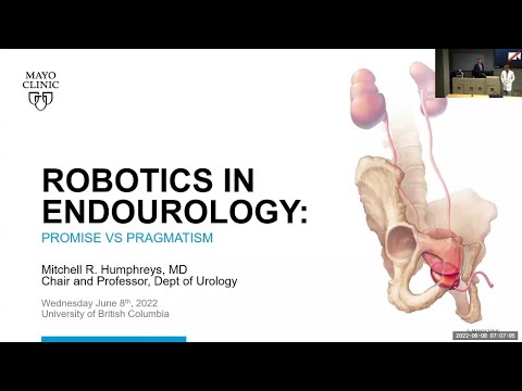 Robotics in Endourology: Promise vs. Pragmatism