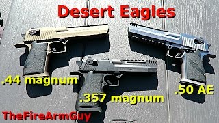 Desert Eagles .357 Mag .44 Mag .50 AE - Range Shooting - TheFireArmGuy