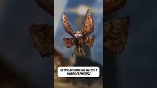 The wisest of Magic the Gathering’s bugs