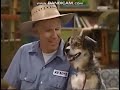 Barney Clip Shows Hi I M Riff 2008