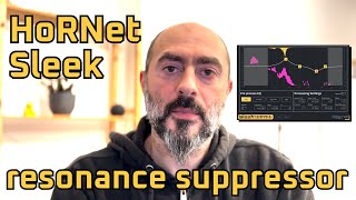 Explore HoRNet Sleek: Enhancing Audio Clarity with Precision
