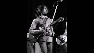 Bob Marley & The Wailers – Live At Schaefer Music Festival Central Park New York U.S.A (18/6/1975)
