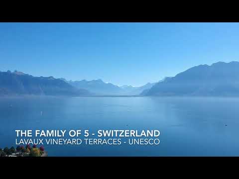 Lavaux Vineyard Terraces 🍇 UNESCO World Heritage on Lake Geneva, Switzerland