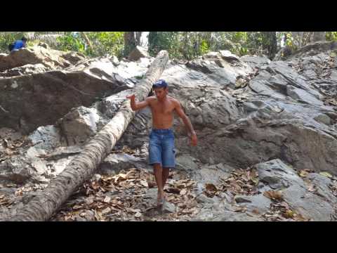 Paracis um Lugar bacana