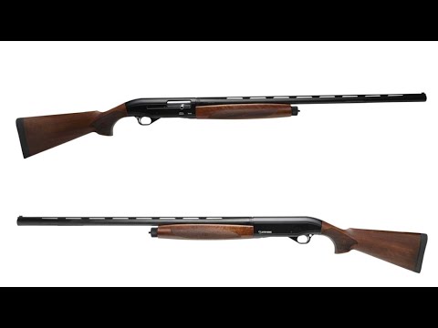 The BEST BUDGET SEMI-AUTO SHOTGUN EVER(Stevens model 560) Review