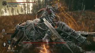 宿将ガイウス Lv120 加護0 炎撃レディーソード＋大盾カウンター エルデンリング DLC ボス (初攻略時)【ELDEN RING BOSS:Gaius】