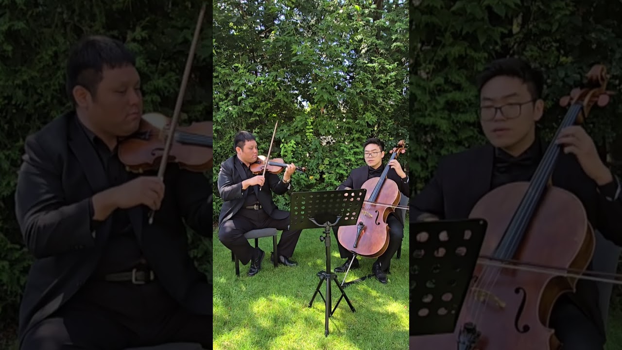Promotional video thumbnail 2 for Austin Chao - Professional Cellist
