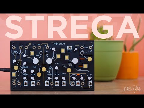 Make Noise STREGA | Overview & Exploration