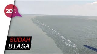 Download lagu Ternyata Fenomena Air Laut di Suramadu Bernama Halocline mp3