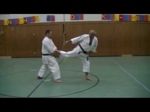 Entwicklungsschritte Ushiro Geri