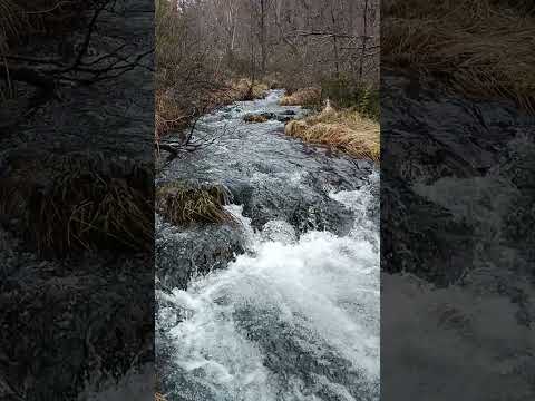Río Turbio #shorts #neuquén #patagonia #argentina