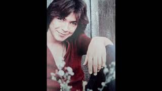 She&#39;d rather have the rain - David Cassidy &amp; The Partridge Family