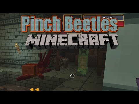 Minecraft | Complete Mod Pack Series | Pinch Bettle #11