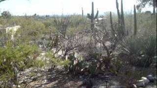 I Love You (We're F*#ked) Promo vid