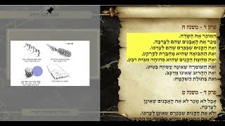 משניות בבא בתרא פרק ד משנה ח