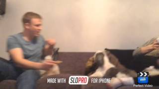 Charlie bit my finger updated to dog bites ginger!!