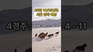 [말밥GPT] 25' 10/25 (토) 서울 경마 | 전 라운드 예상픽 #경마 #경마예상
