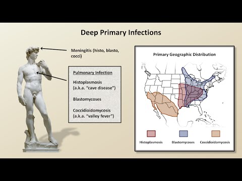An Overview of Fungal Infections (Fungal Infections - Lesson 2)