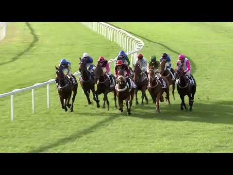 2020.10.18. 08. futam - SZENT LÁSZLÓ DÍJ (HUN Gd-2)