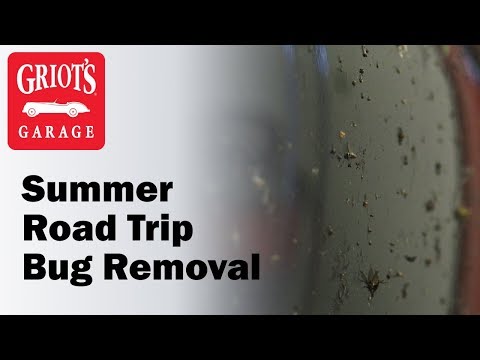 Summer Road Trip Bug Removal