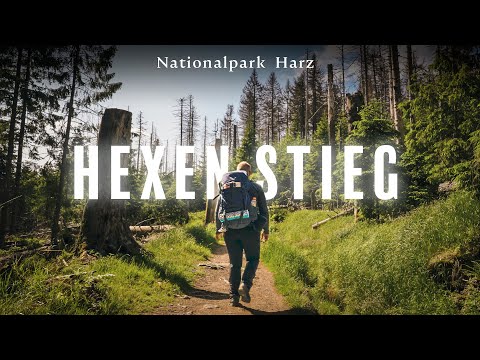 100km allein auf dem Harzer Hexen-Stieg