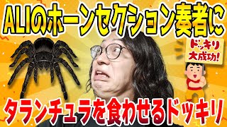 【どっきり】ALIのサックス奏者にタランチュラ食わせてみた【昆虫食】