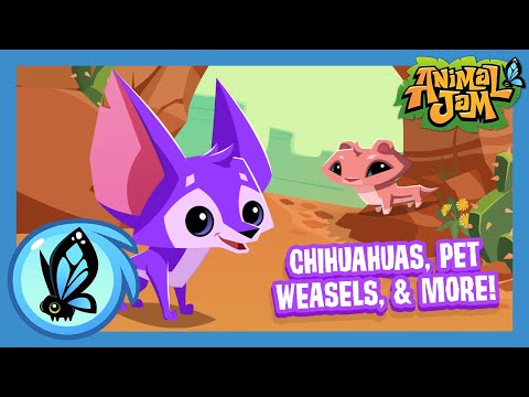 What's Coming to Animal Jam? | September Update